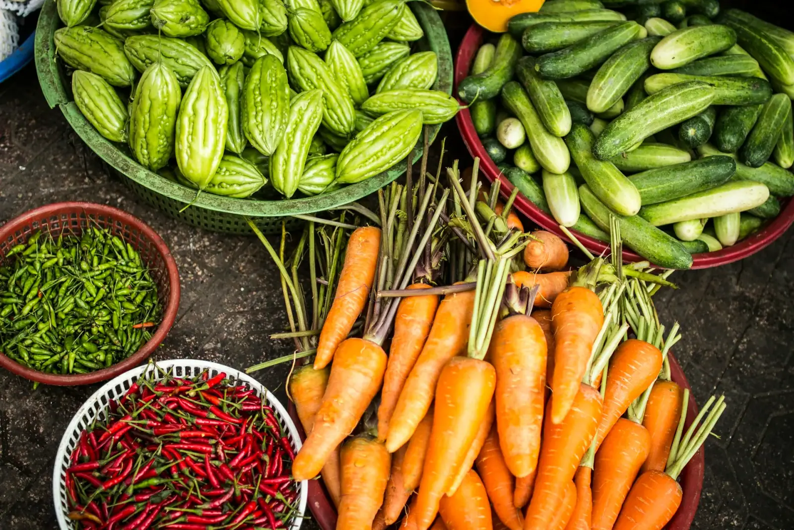 Horticulture Software Development Services — Horticulture and growing imagery