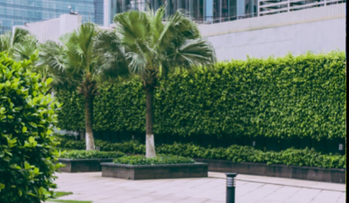 Commercial grounds maintained by Star Property Maintenance